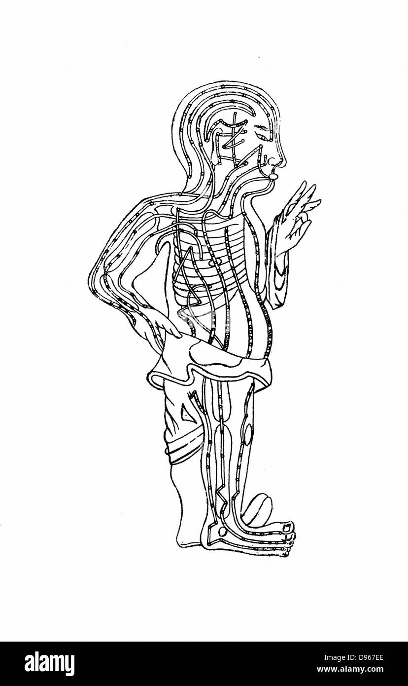 Grafico di agopuntura, secolo XIX la xilografia Foto Stock