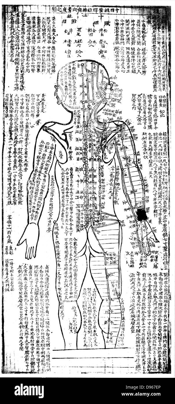 Grafico di agopuntura per la parte posteriore del corpo. Xix secolo giapponese. Blocco di legno Foto Stock
