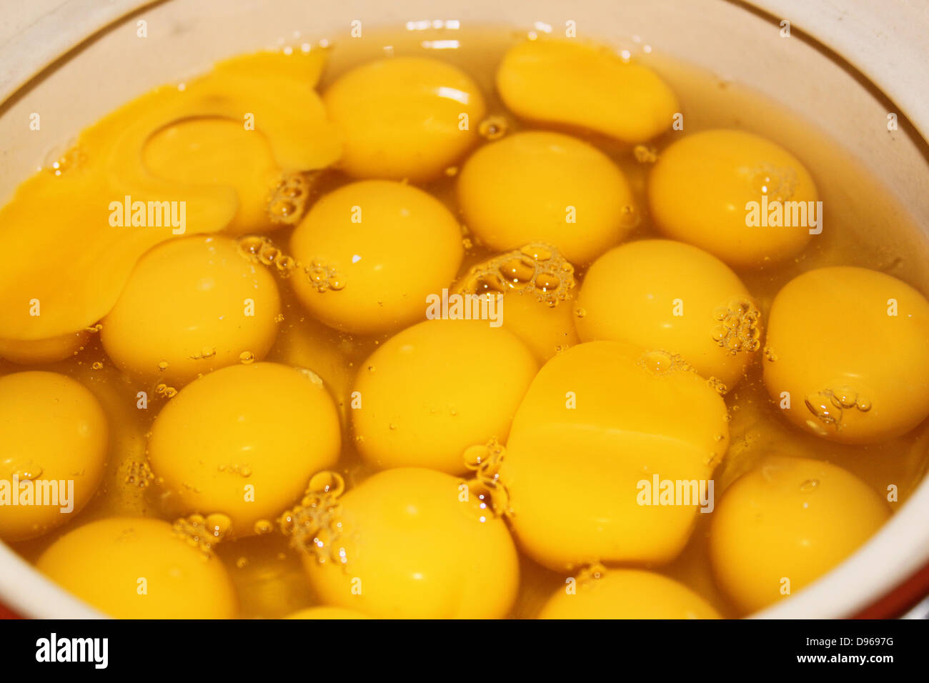 Close up di albume d'uovo di gallina e tuorlo in una ciotola Foto Stock