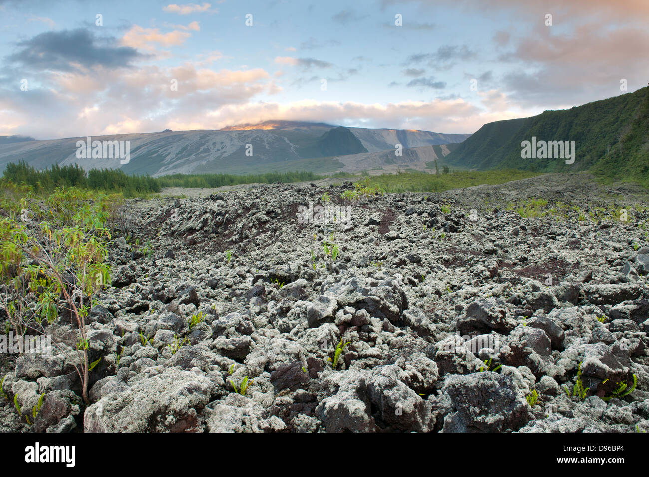 Paesaggio vulcanico del Le Grand Brulé e le pendici del Piton de la Fournaise vulcano sull isola francese di la Reunion. Foto Stock