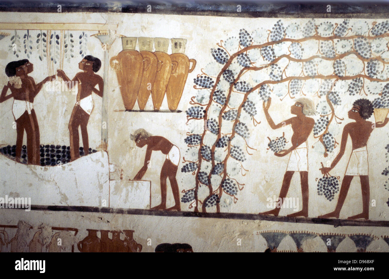 La pittura murale della tomba dello scriba Menna, Tebe, XVIII dinastia. Di scena la Vendage: raccolta uva in vigna (destra) e uve di calpestio (sinistra). In alto al centro sono anfora a forma di vino in ceramica vasi Foto Stock