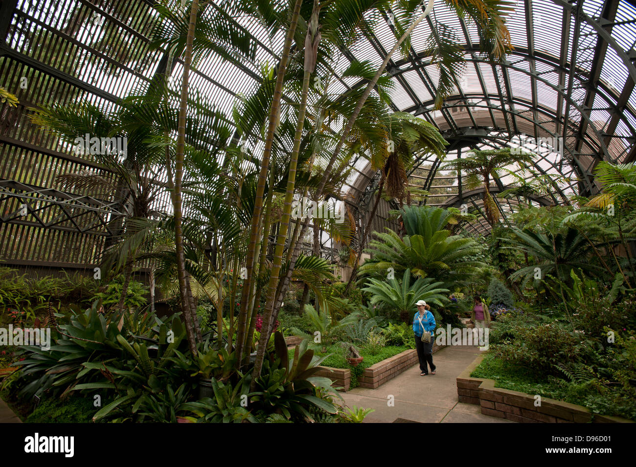 Il giardino botanico, il Parco Balboa, San Diego, California, Stati Uniti d'America Foto Stock
