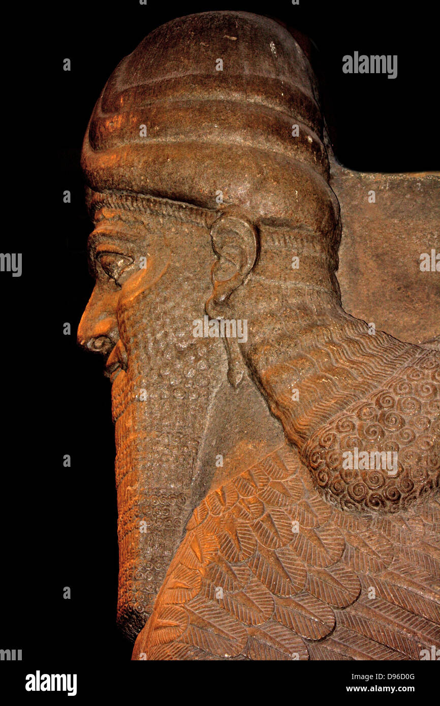 Profilo di umana con testa di toro alato (o) Šedu statua. L'assiro (circa 710-705 a.C.). Preso da Khorsabad. Un spirito protettivo statua ha usato a guardia palace portoni. Foto Stock