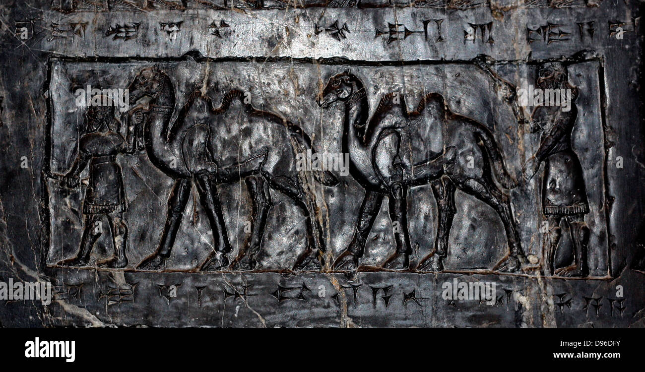 L obelisco nero di Shalmaneser III (858-824 a.C.). Assira, da Nimrud. Fatta di a grana fine calcare nero venato di bianco. Esso registra i re della campagne e omaggi dato a lui. Foto Stock