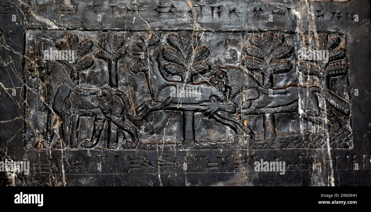 L obelisco nero di Shalmaneser III (858-824 a.C.). Assira, da Nimrud. Fatta di a grana fine calcare nero venato di bianco. Esso registra i re della campagne e omaggi dato a lui. Foto Stock