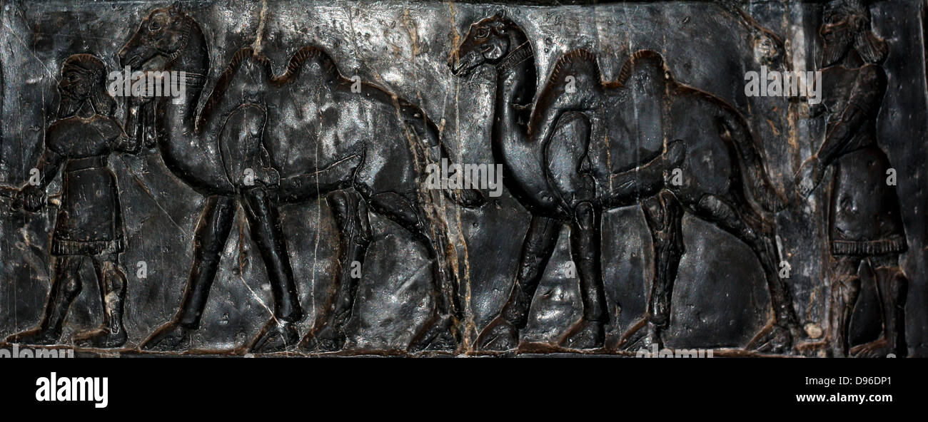 L obelisco nero di Shalmaneser III (858-824 a.C.). Assira, da Nimrud. Fatta di a grana fine calcare nero venato di bianco. Esso registra i re della campagne e omaggi dato a lui. Foto Stock