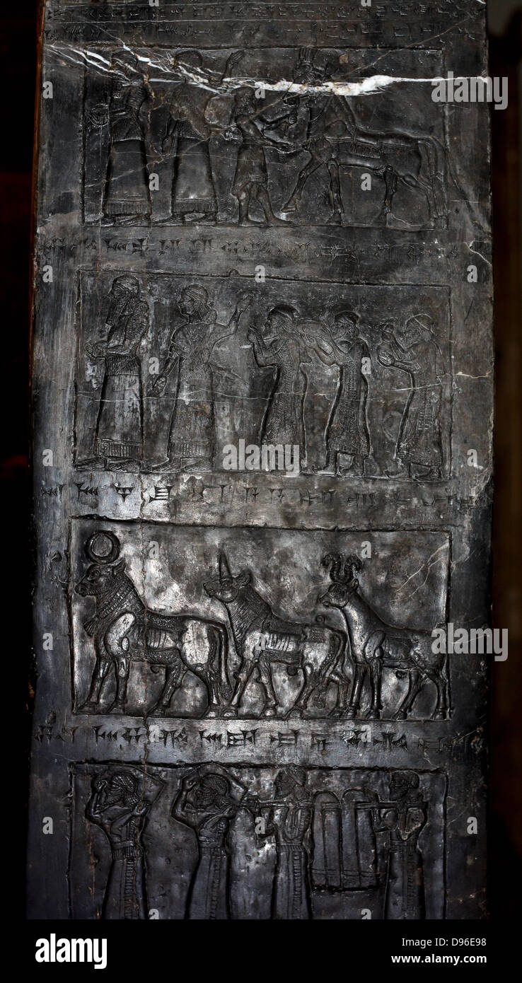 L obelisco nero di Shalmaneser III (858-824 a.C.). Assira, da Nimrud. Fatta di a grana fine calcare nero venato di bianco. Esso registra i re della campagne e omaggi dato a lui. Foto Stock