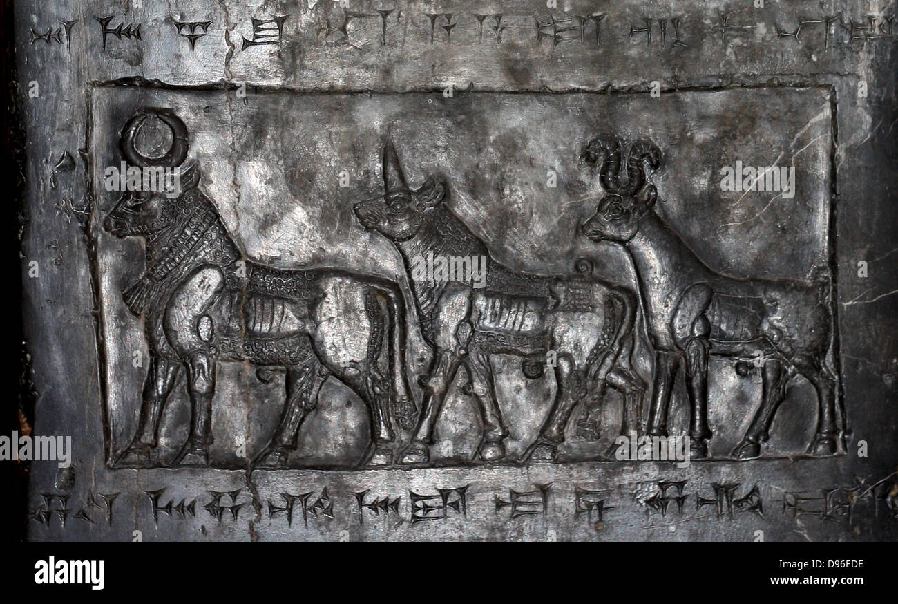 L obelisco nero di Shalmaneser III (858-824 a.C.). Assira, da Nimrud. Fatta di a grana fine calcare nero venato di bianco. Esso registra i re della campagne e omaggi dato a lui. Foto Stock