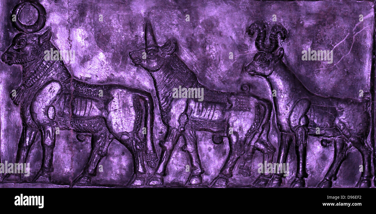 L obelisco nero di Shalmaneser III (858-824 a.C.). Assira, da Nimrud. Fatta di a grana fine calcare nero venato di bianco. Esso registra i re della campagne e omaggi dato a lui. Foto Stock