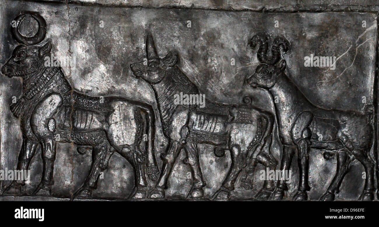 L obelisco nero di Shalmaneser III (858-824 a.C.). Assira, da Nimrud. Fatta di a grana fine calcare nero venato di bianco. Esso registra i re della campagne e omaggi dato a lui. Foto Stock