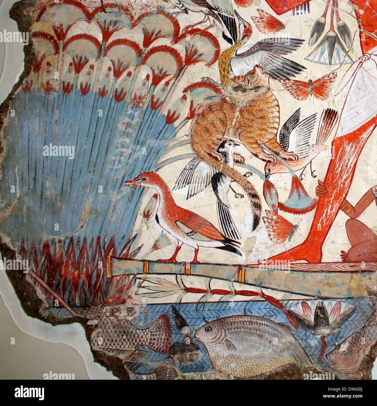 Egyptian Hunting Birds Immagini & Egyptian Hunting Birds Fotos Stock Alamy