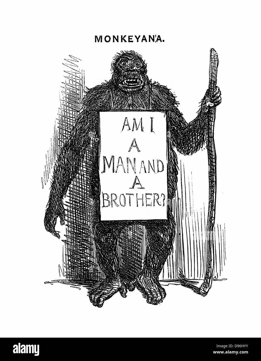 Monkeyana: Io sono un uomo e un fratello?". Cartone animato da "punzone" Londra 18 Maggio 1851 mentre polemiche su Darwin's "Origine della specie " infuriava. Slogan presi in prestito dall abolizione della schiavitù campagna. Incisione. Foto Stock