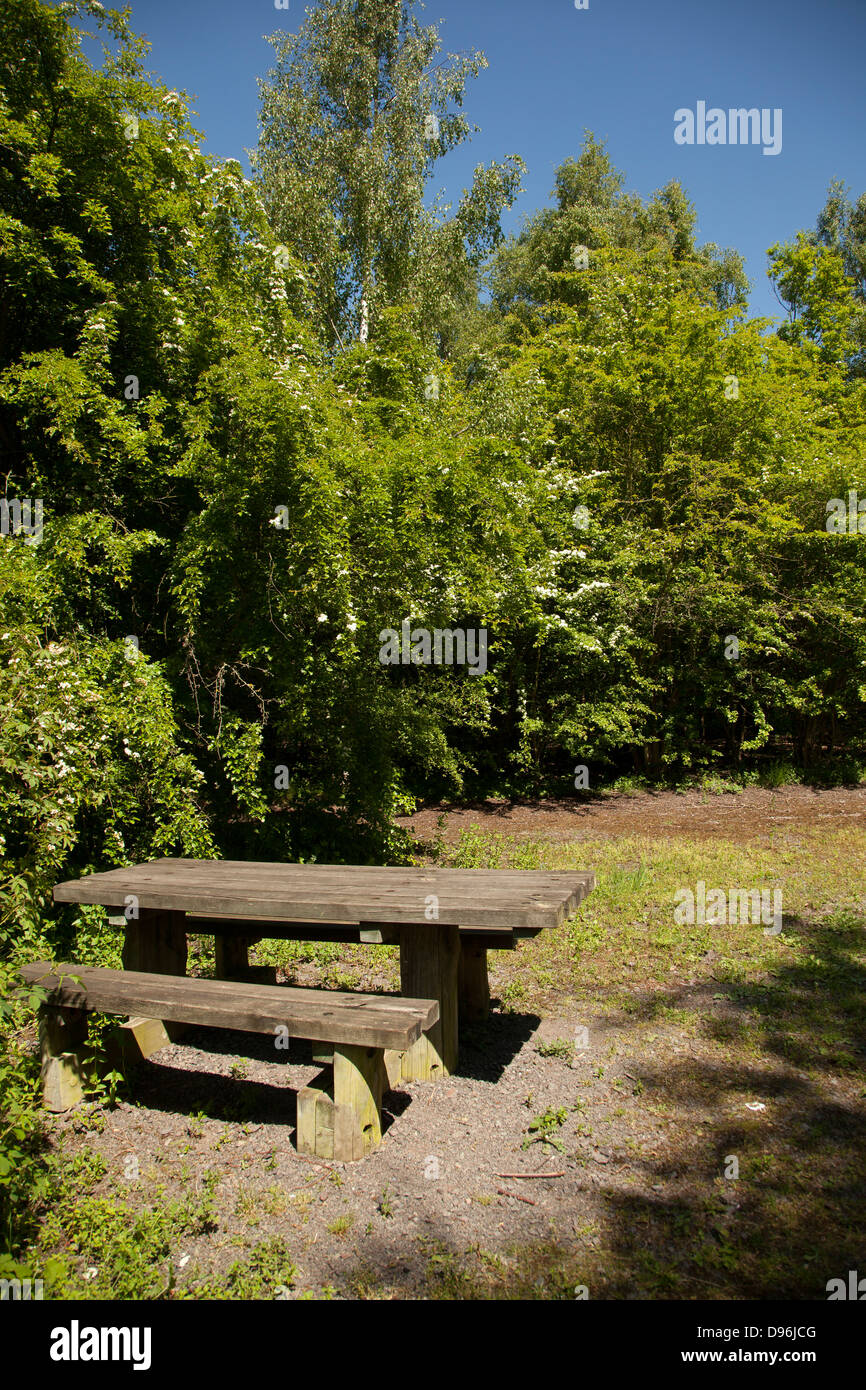 Tavolo da picnic in corrispondenza di un luogo di bellezza Foto Stock