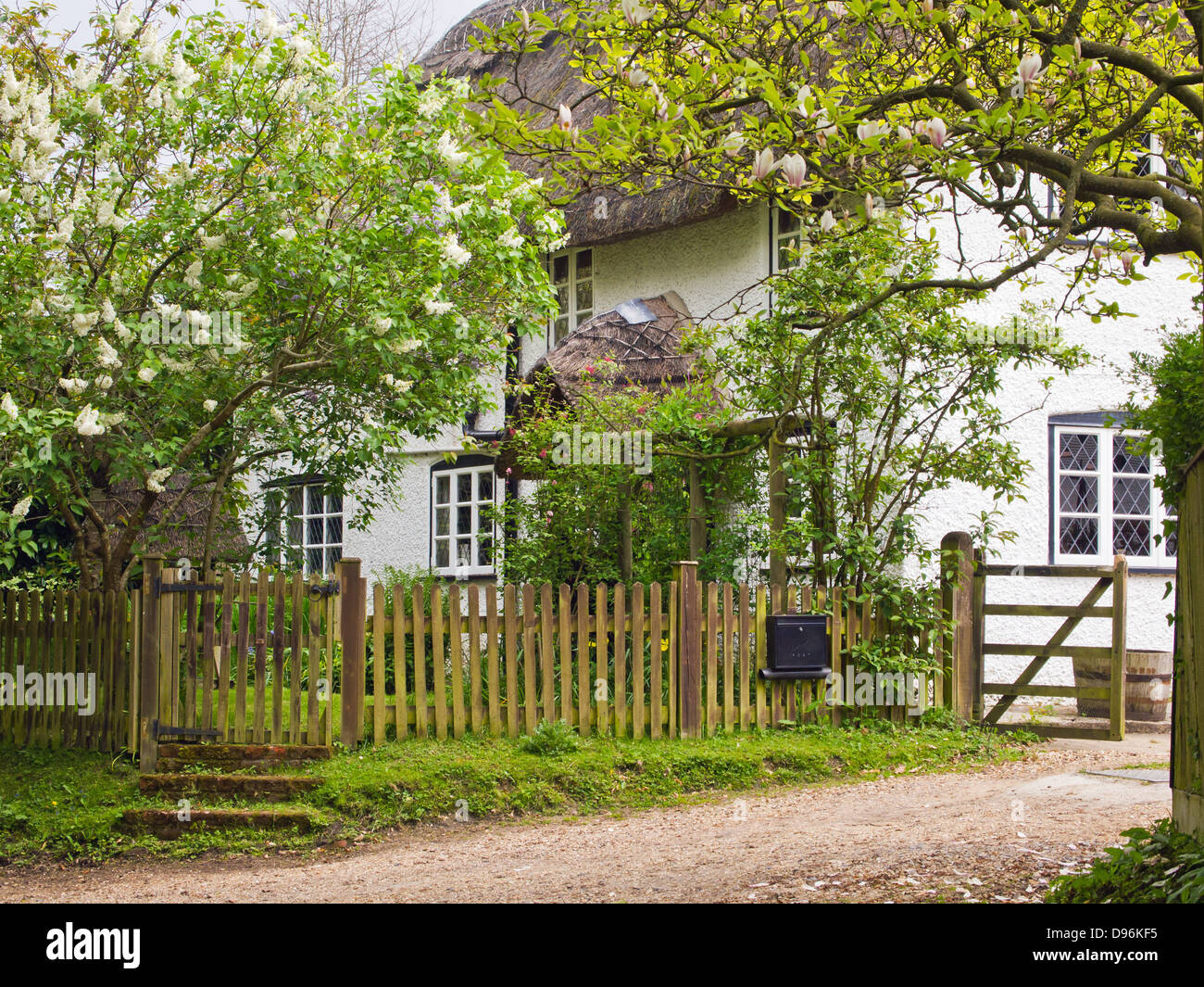 Cottage Di Paglia In Hyde New Forest Hampshire Regno Unito Inghilterra Foto Stock