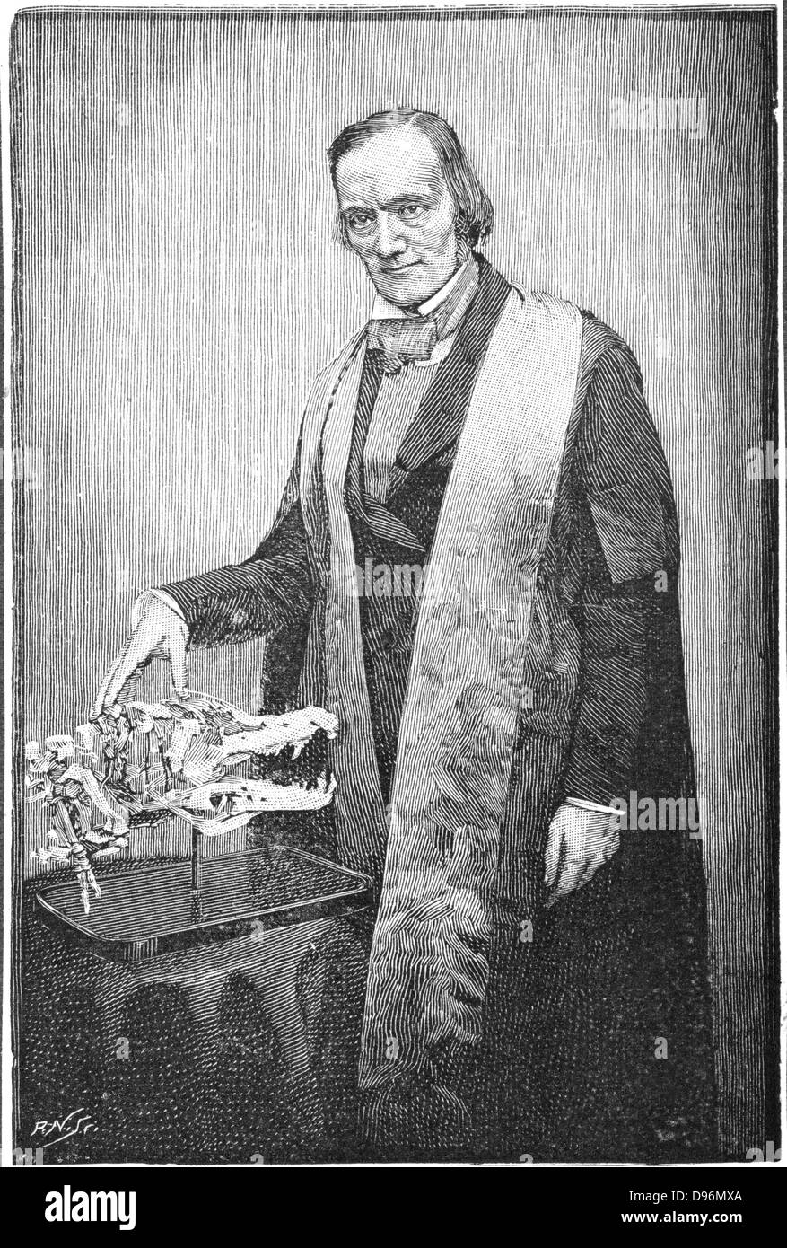 Richard Owen (1804-1892) naturalista britannico, all'età di 52. Coniato il termine "inosaur' (1841). Anziché Darwin ed evoluzione. Da "The Strand Magazine', Londra, 1891. Incisione Foto Stock