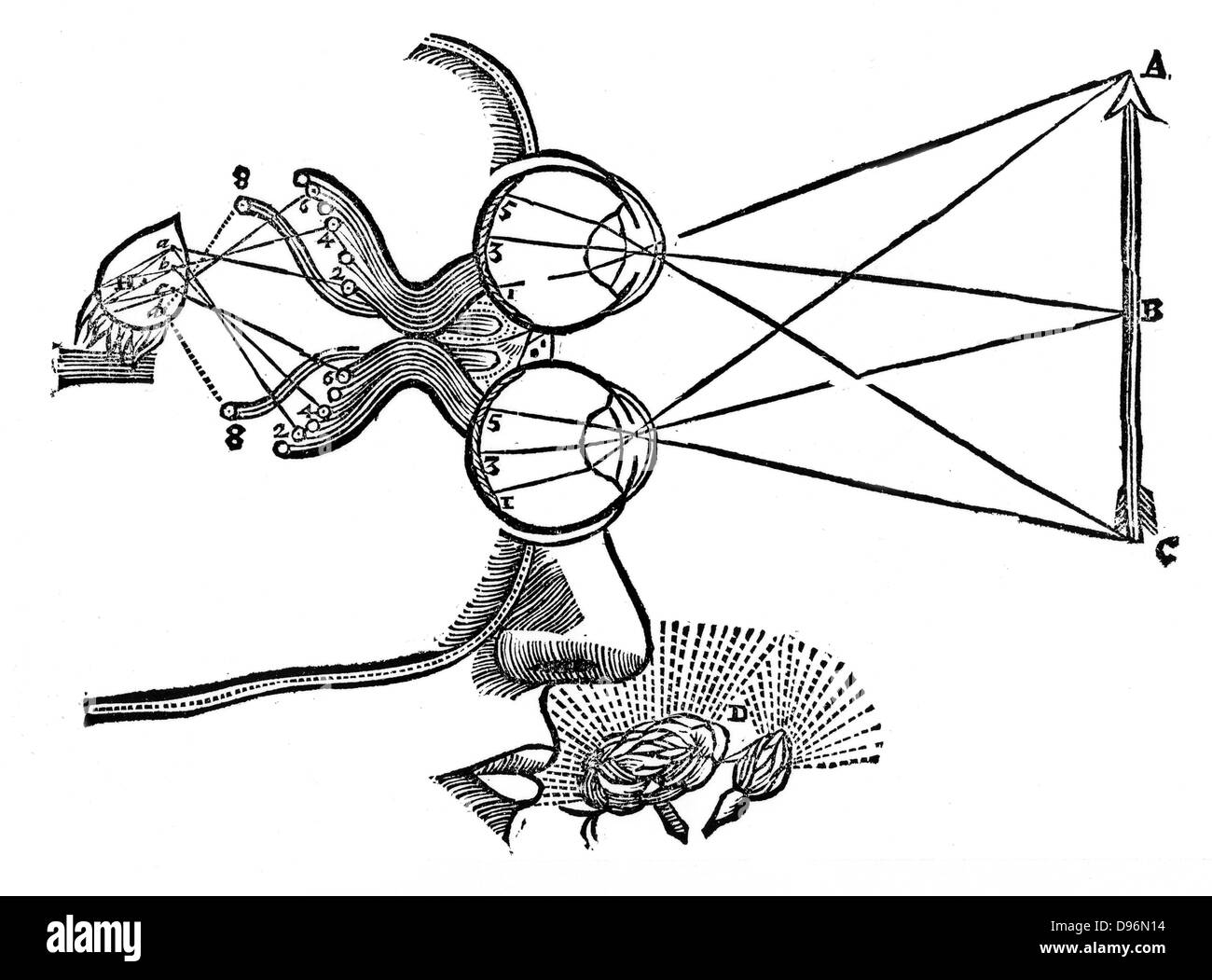 Cartesio' illustrazione del coordinamento dei sensi. Stimolo visivo che viaggiano dall'occhio alla ghiandola pineale, H, smette di prestare attenzione a stimoli olfattivi. Dal Rene Descartes 'Opera Philosophica', con sede in Francoforte sul Meno, 1692. Originariamente pubblicato nel suo 'Tractatus de homine", Parigi, 1664. Xilografia Foto Stock