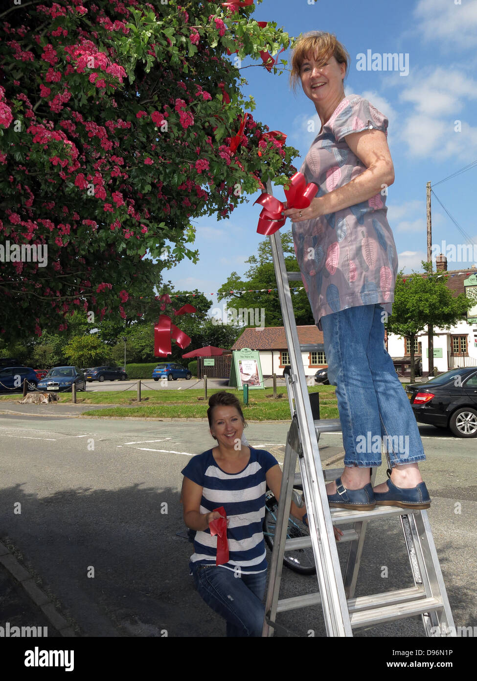 La preparazione del famoso Thorn Tree a Appleton Thorn villaggio, a sud di Warrington, Inghilterra per l annuale giugno 'Bawming il Thorn' Foto Stock