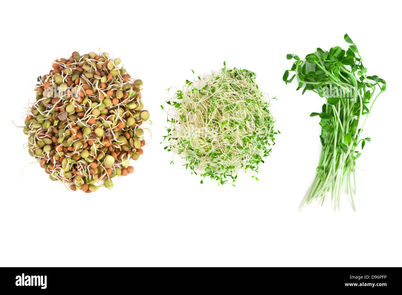 Cibo vegetariano di erba medica,snow piselli e lenticchie isolato su bianco Foto Stock