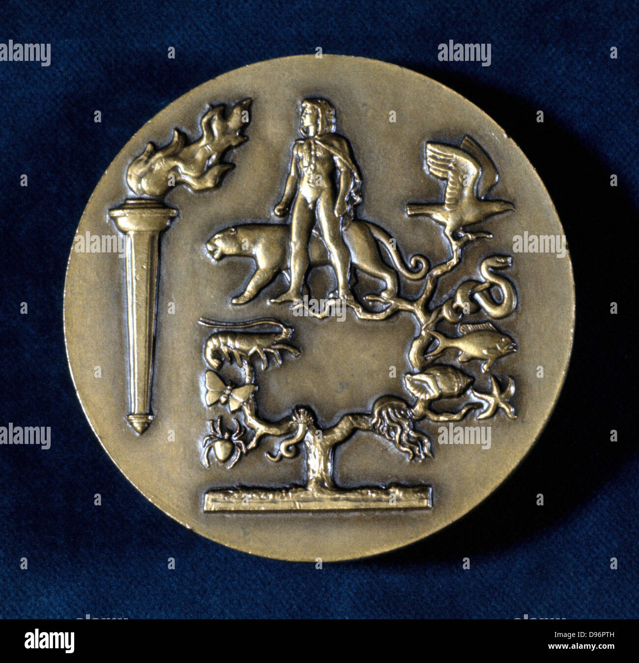 Jean Baptiste de Monet, Chevalier de Lamarck (1744-1829), pioniere francese biologo. Lamarck la teoria dell'evoluzione per eredità di caratteristiche acquisite,era conosciuto come Lamarckism trasformismo o. Inversione di una medaglia commemorativa che mostra albero evolutivo con l uomo nella parte superiore. Foto Stock