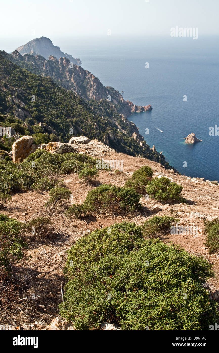 Guardando verso le scogliere di Capo Rosso e il Golfo di Porto nel Mediterraneo, vicino a Porto, sulla costa occidentale dell'isola di Corsica, Francia. Foto Stock