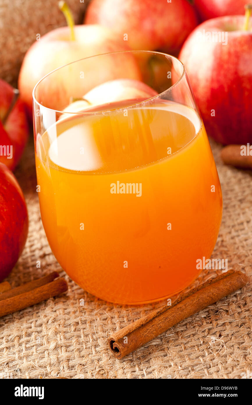 Organico fresco sidro di mele con mele e cannella Foto Stock