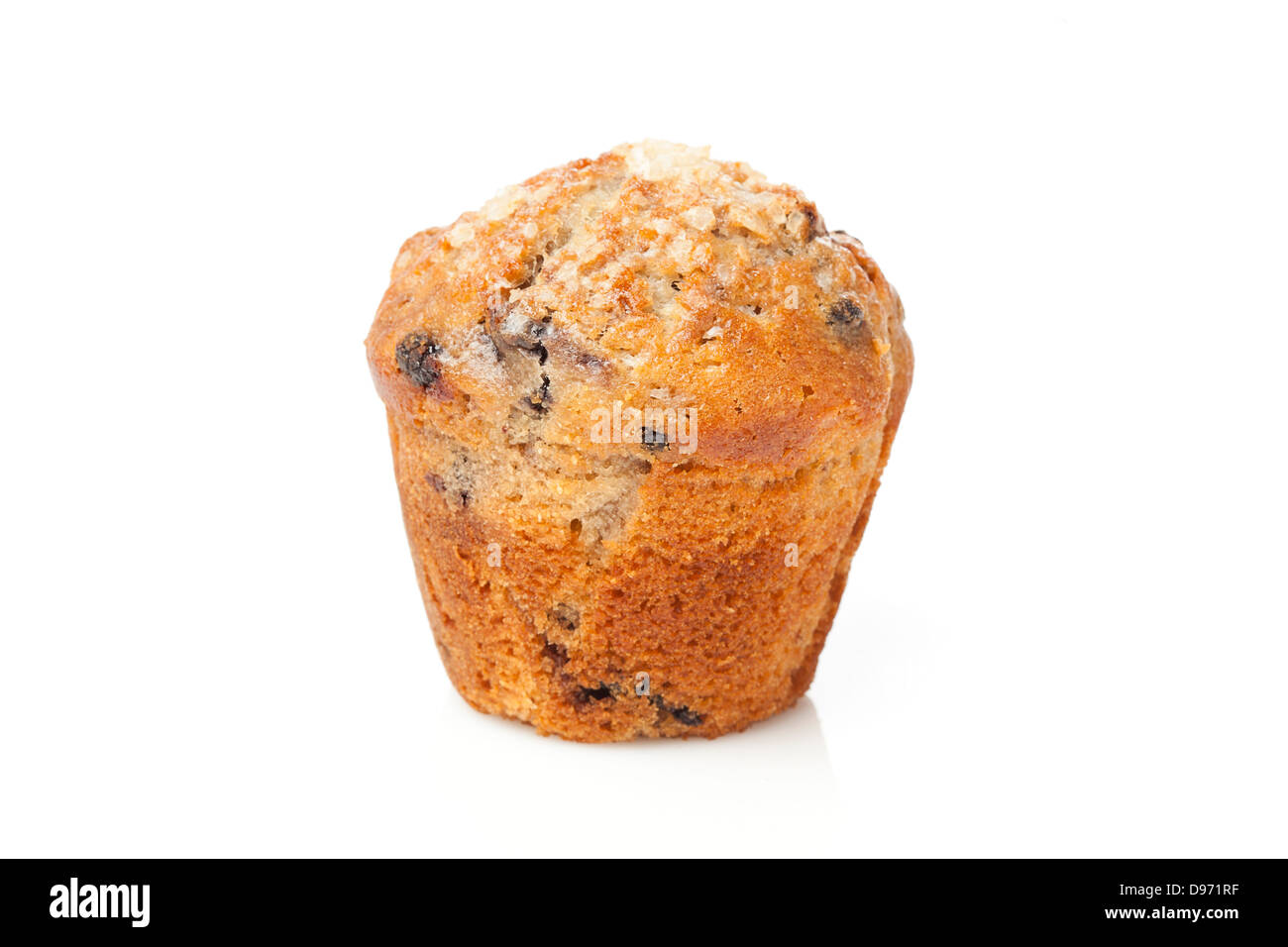 Un freschi fatti in casa muffin ai mirtilli con mirtilli Foto Stock