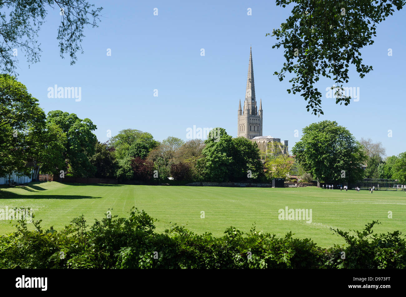 Cattedrale di Norwich Norfolk England Regno Unito visto attraverso la scuola i campi da gioco da est. Foto Stock