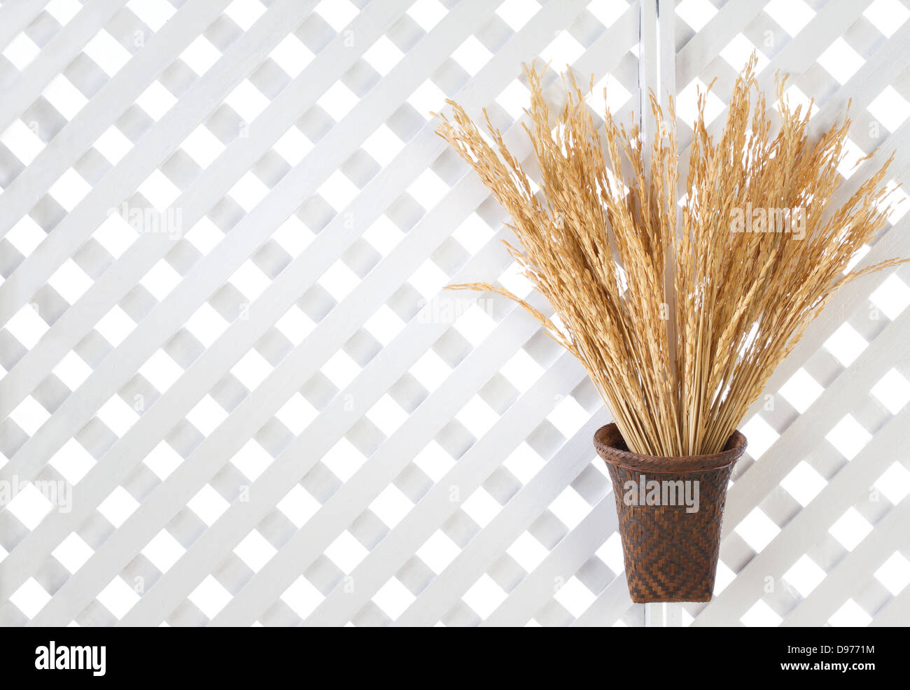 In legno a traliccio sfondo con riso dorato picchi nel cestello di bambù Foto Stock