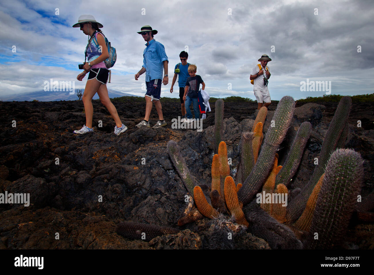 Parte passando cactii superstite del secco di roccia lavica, Punta Moreno, Isabela Island, Galapagos Foto Stock