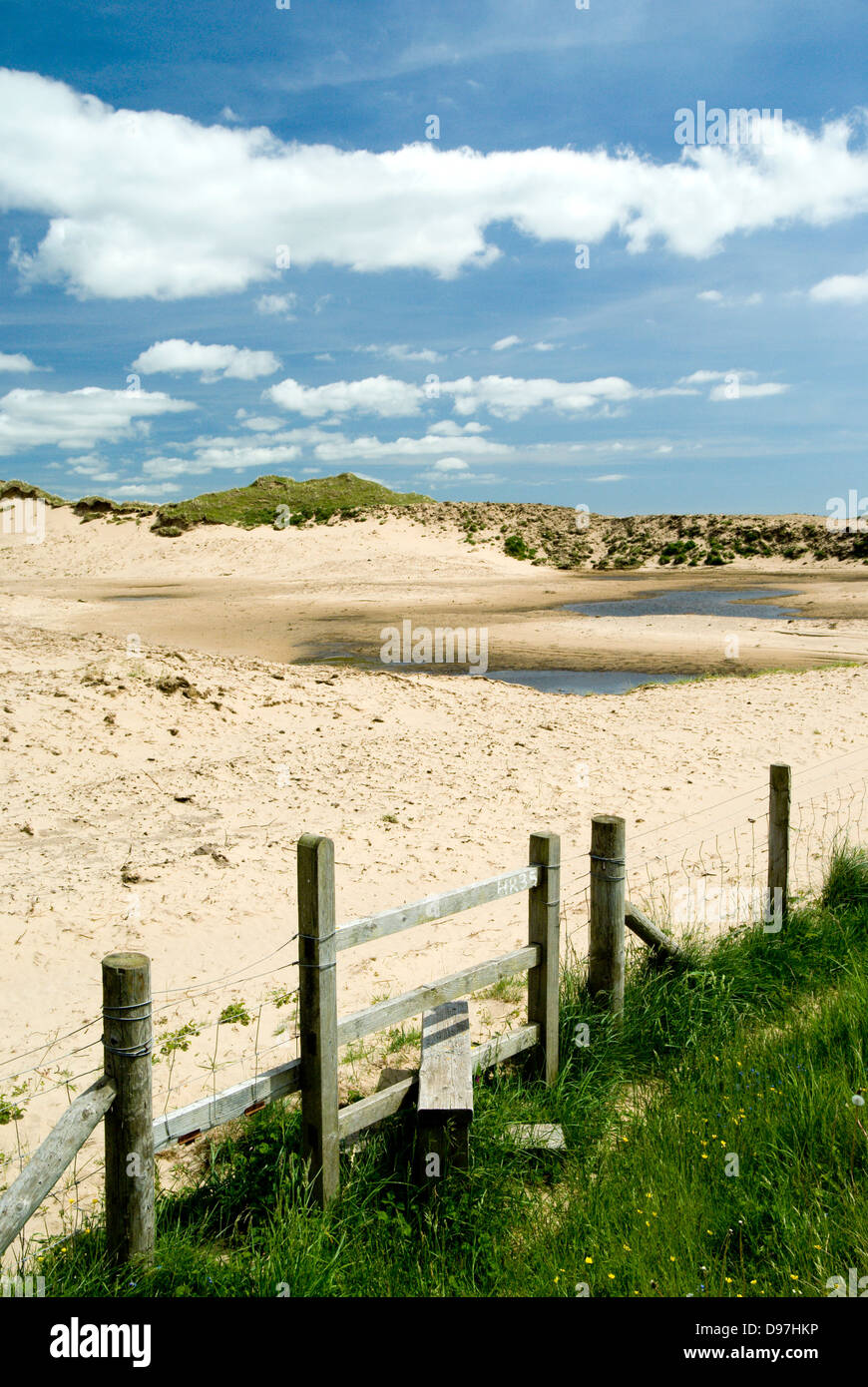 Miglioramenti ambientali per il sistema di dune a Kenfig Riserva Naturale Nazionale, Porthcawl, Galles. Foto Stock