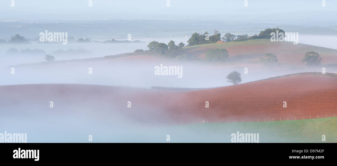 Nebbia copriva rolling farmland, nuove, Devon, Inghilterra. In autunno (settembre 2012). Foto Stock