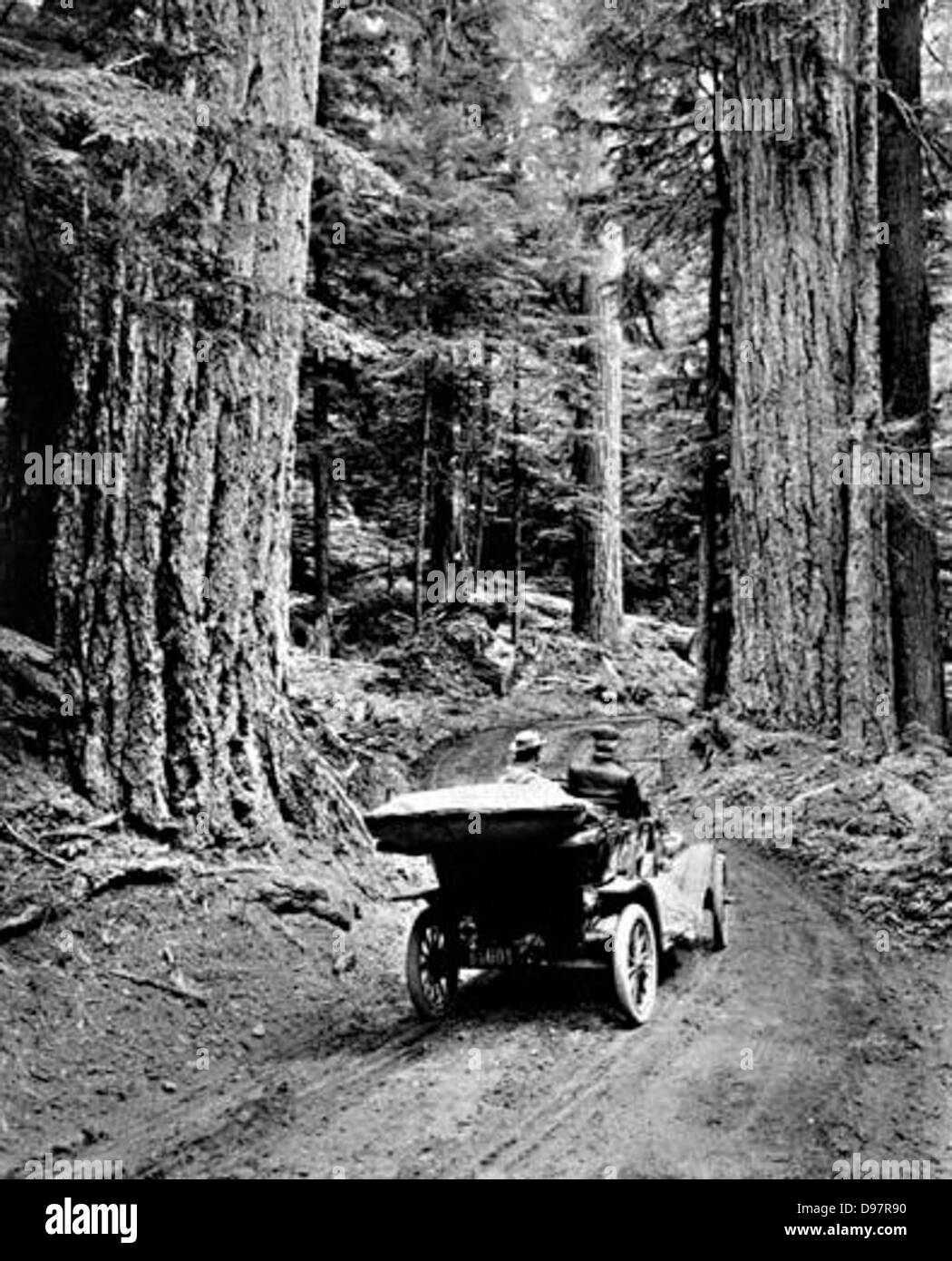 Questa immagine cattura una delle prime automobili parcheggiata all'ingresso del Parco Nazionale del Monte Rainier, con foreste e strade circostanti. Riflette l'esplorazione dei parchi nazionali dell'epoca in auto. Foto Stock
