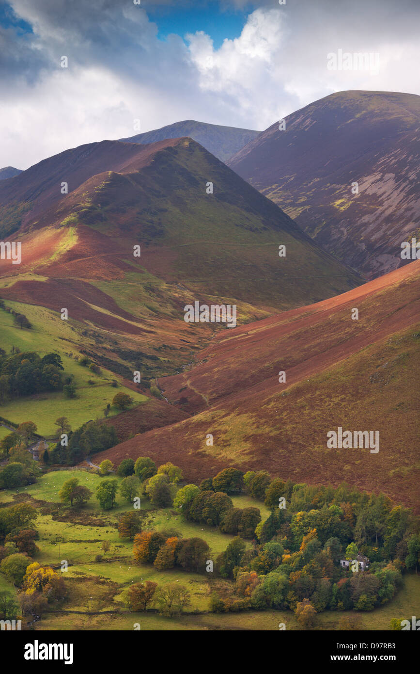 Rigg Beck e roccioso Hill, Lake District, Cumbria, Inghilterra. In autunno (ottobre 2012). Foto Stock