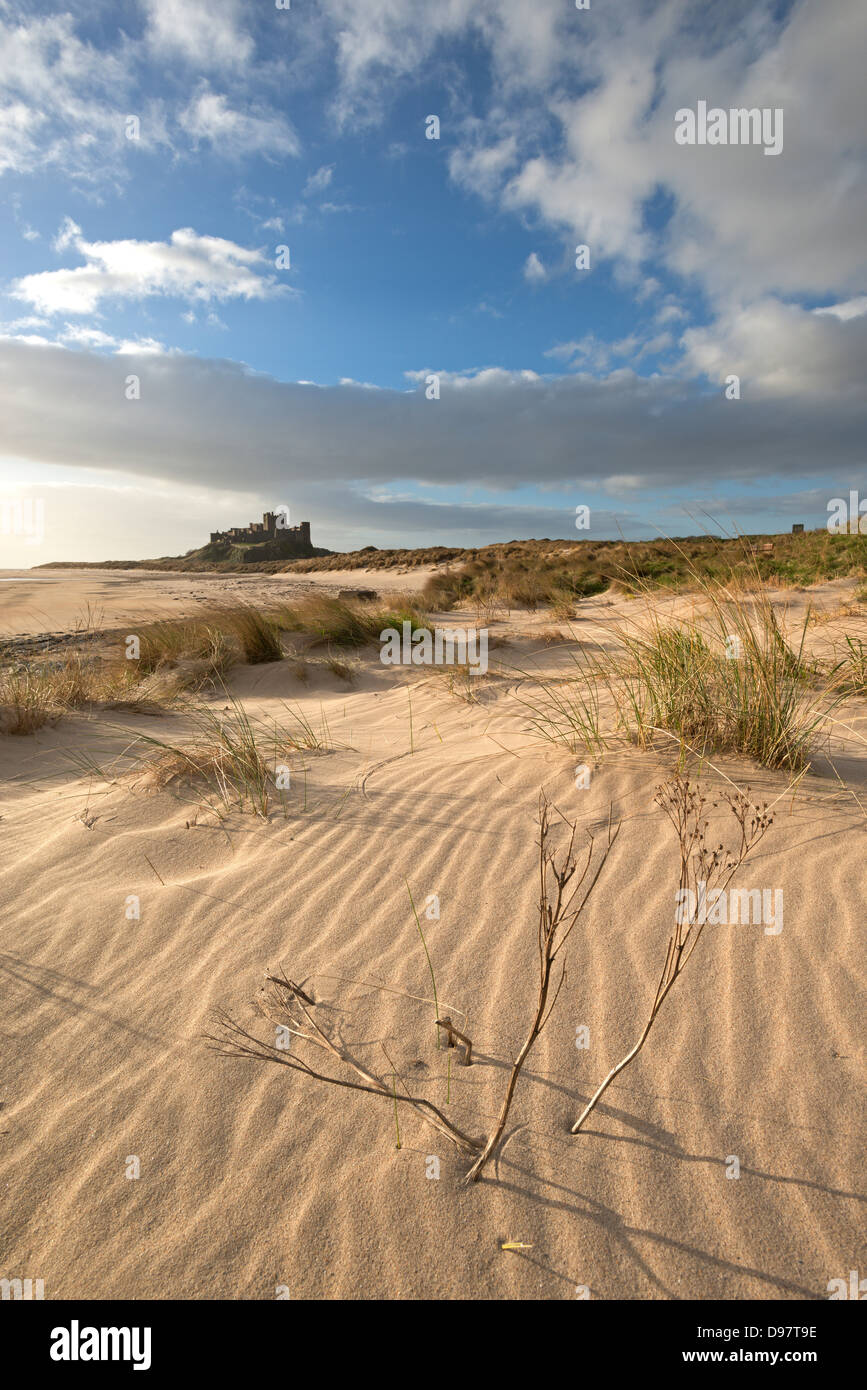 Le dune di sabbia a Bamburgh con viste al castello, Northumberland, Inghilterra. Molla (aprile) 2013. Foto Stock
