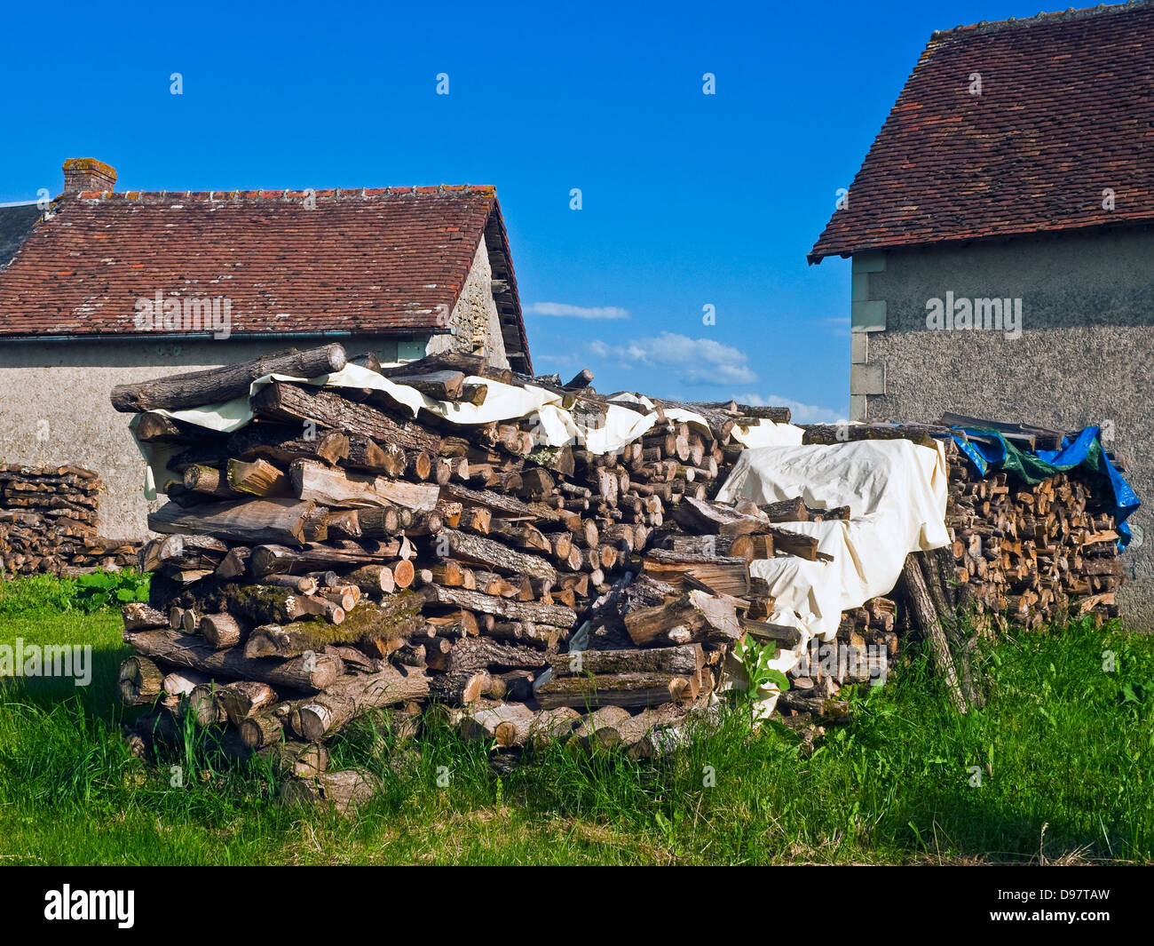 Pile di legname segato tronchi di quercia per carburante domestico - Francia. Foto Stock