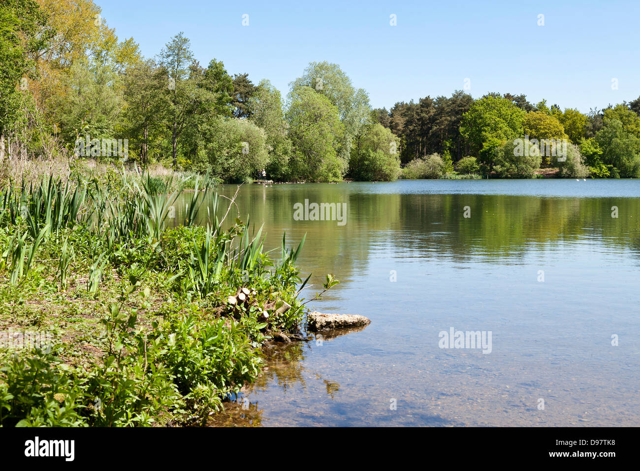 Lago di pesca a West Stow. Foto Stock
