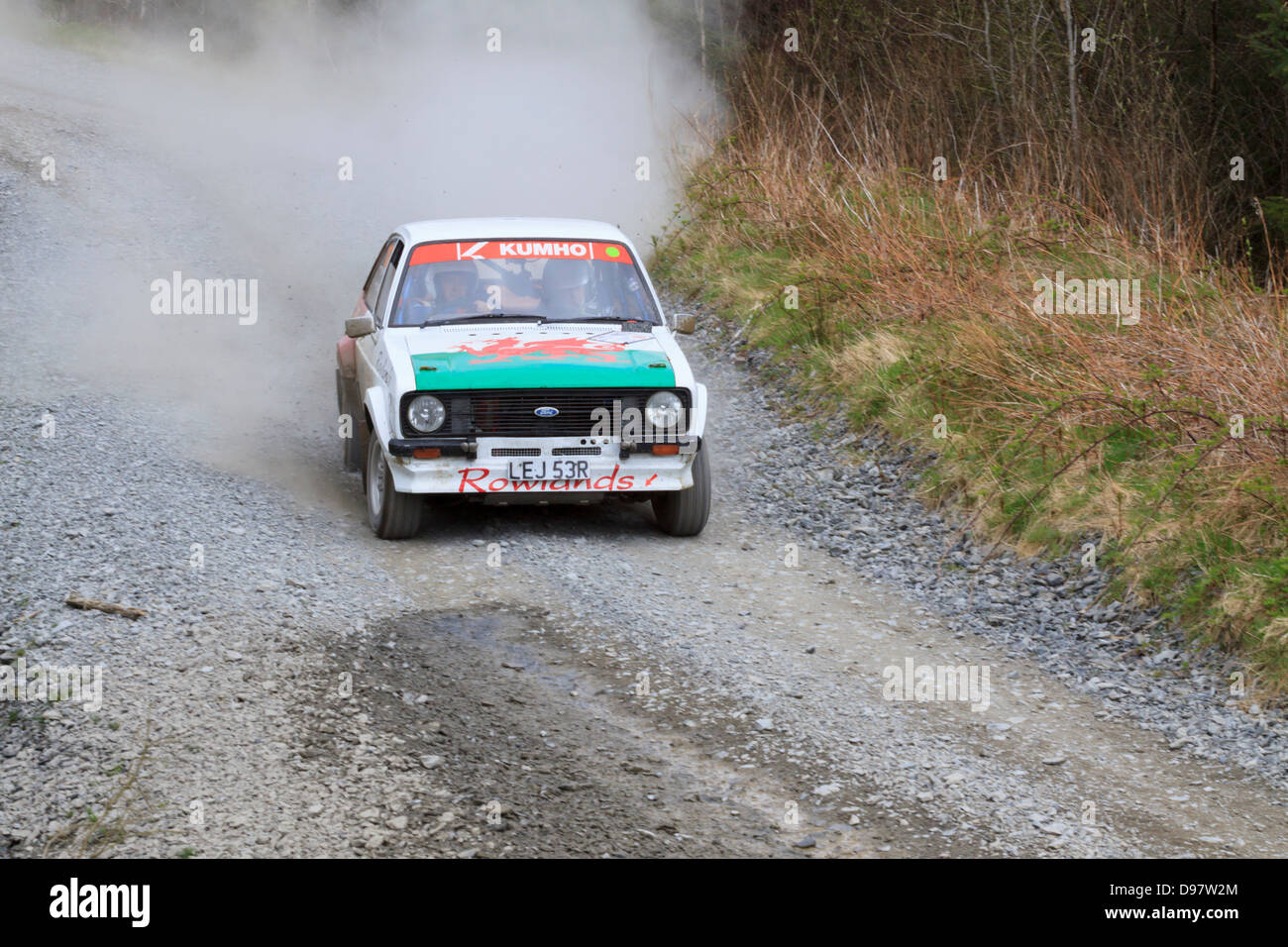 Una vettura da rally a pianure rally 2013 (Gartheiniog stadio). Foto Stock