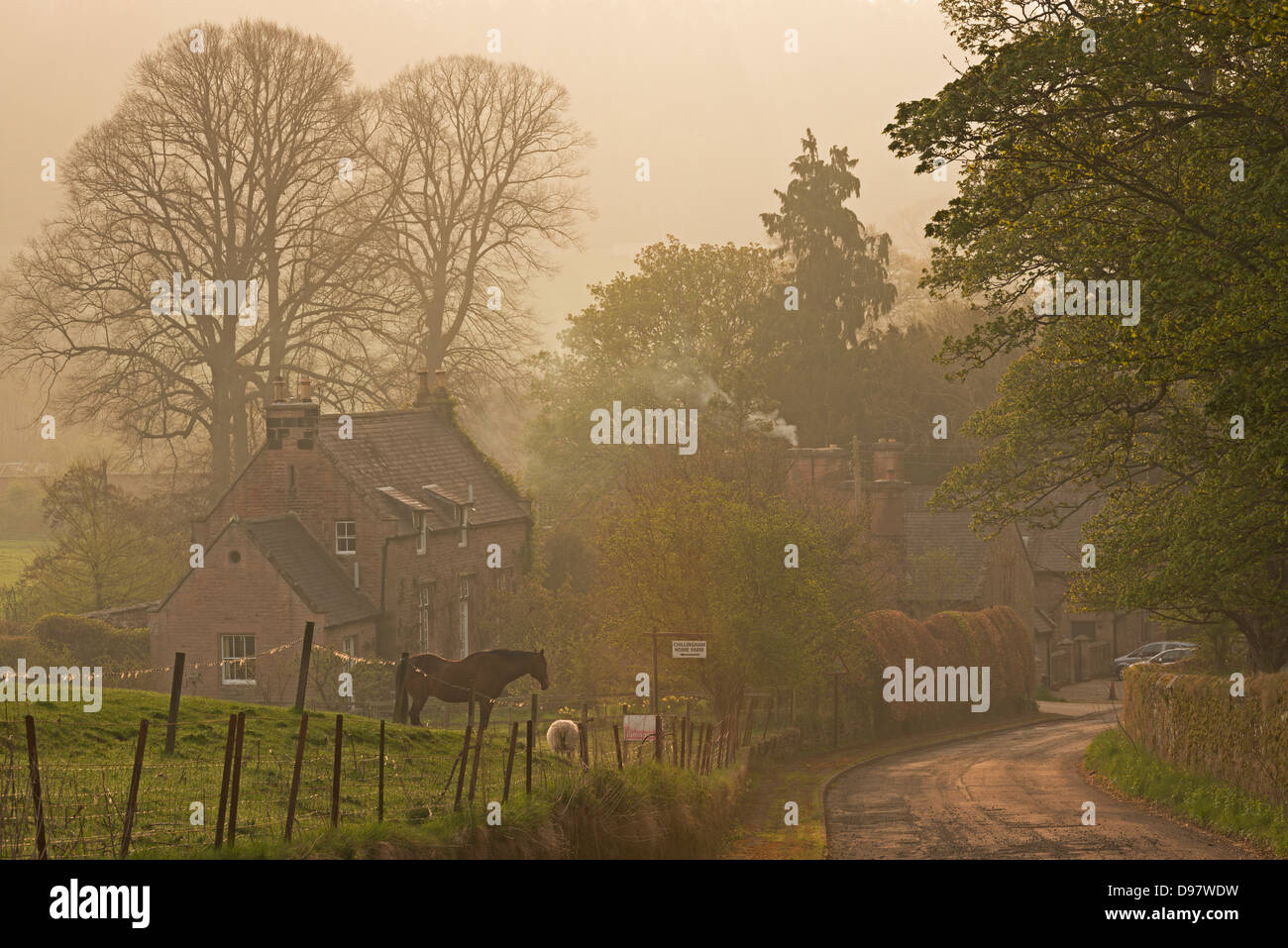 Case vacanze nel villaggio di Chillingham in una nebbiosa mattina di primavera, Northumberland, Inghilterra. Molla (maggio) 2013. Foto Stock
