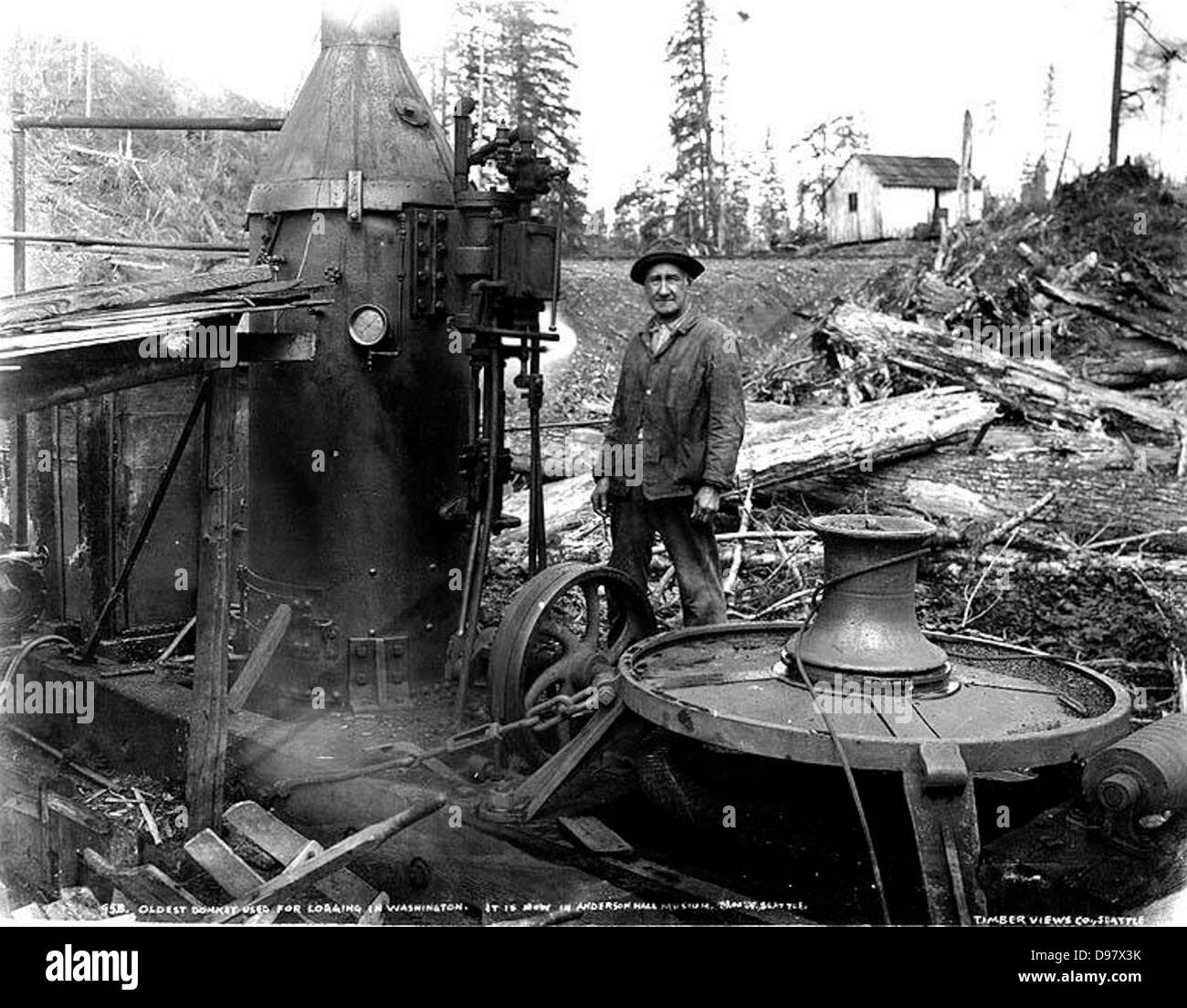Steam logging in фото 14
