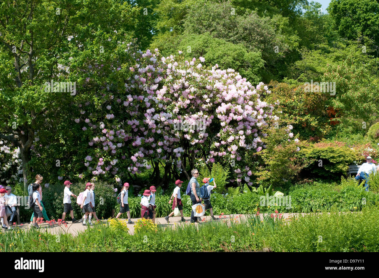 Un gruppo di scolari nel Giardino di Wisley, Surrey, Regno Unito Foto Stock