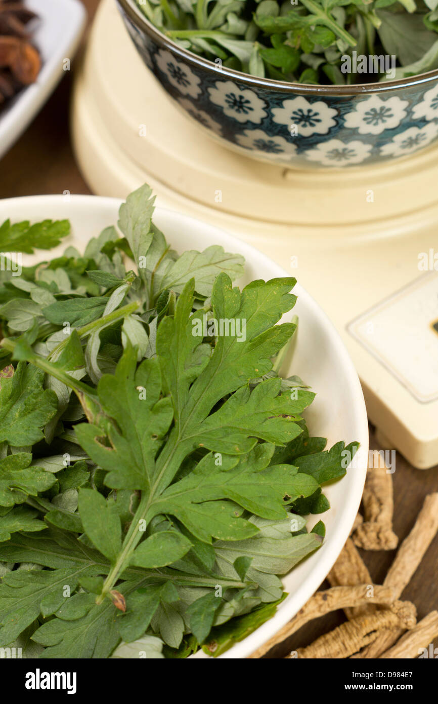 Artemisia o ai Ye Foto Stock