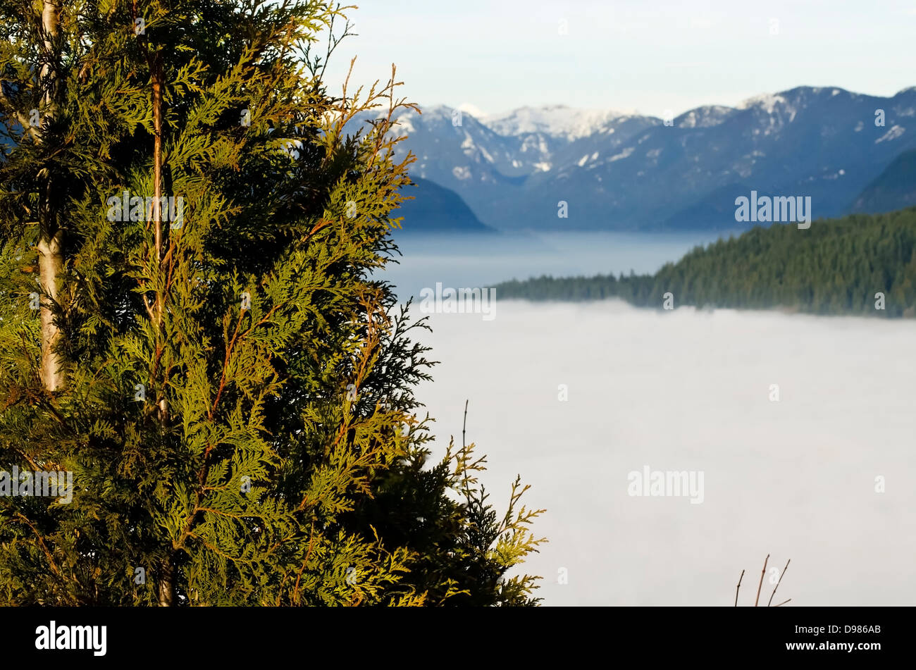 Cieli soleggiati sopra mentre le nuvole e la nebbia coprire la città e acqua sotto durante un'inversione. Preso dalla cima di Burnaby Mountain. Foto Stock