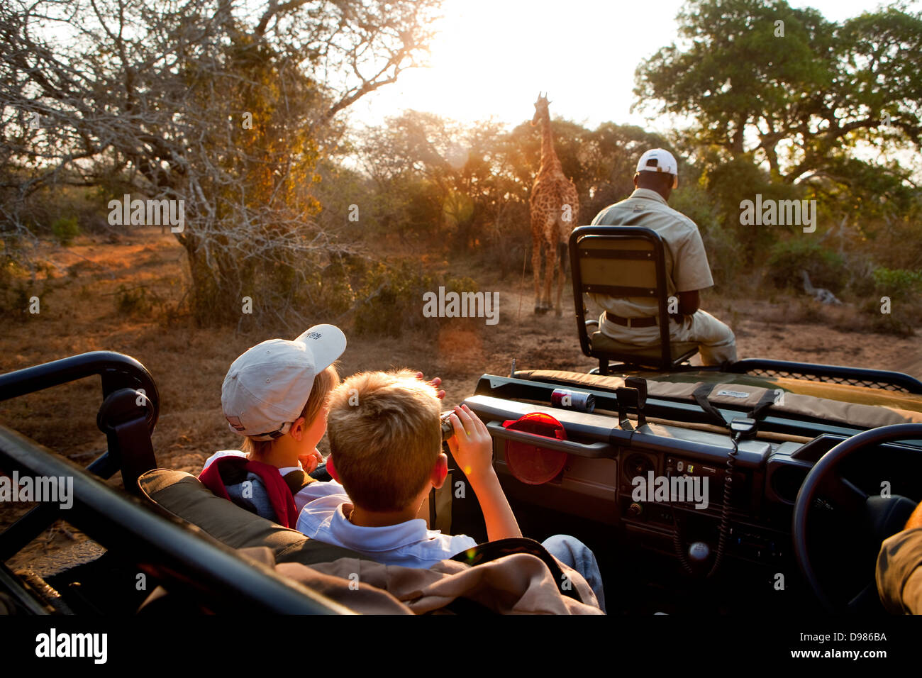 Robin Tetlow sparatutto con Tyler Talmage visualizzazione di una giraffa da un safari land cruiser in Phinda Game Reserve Foto Stock