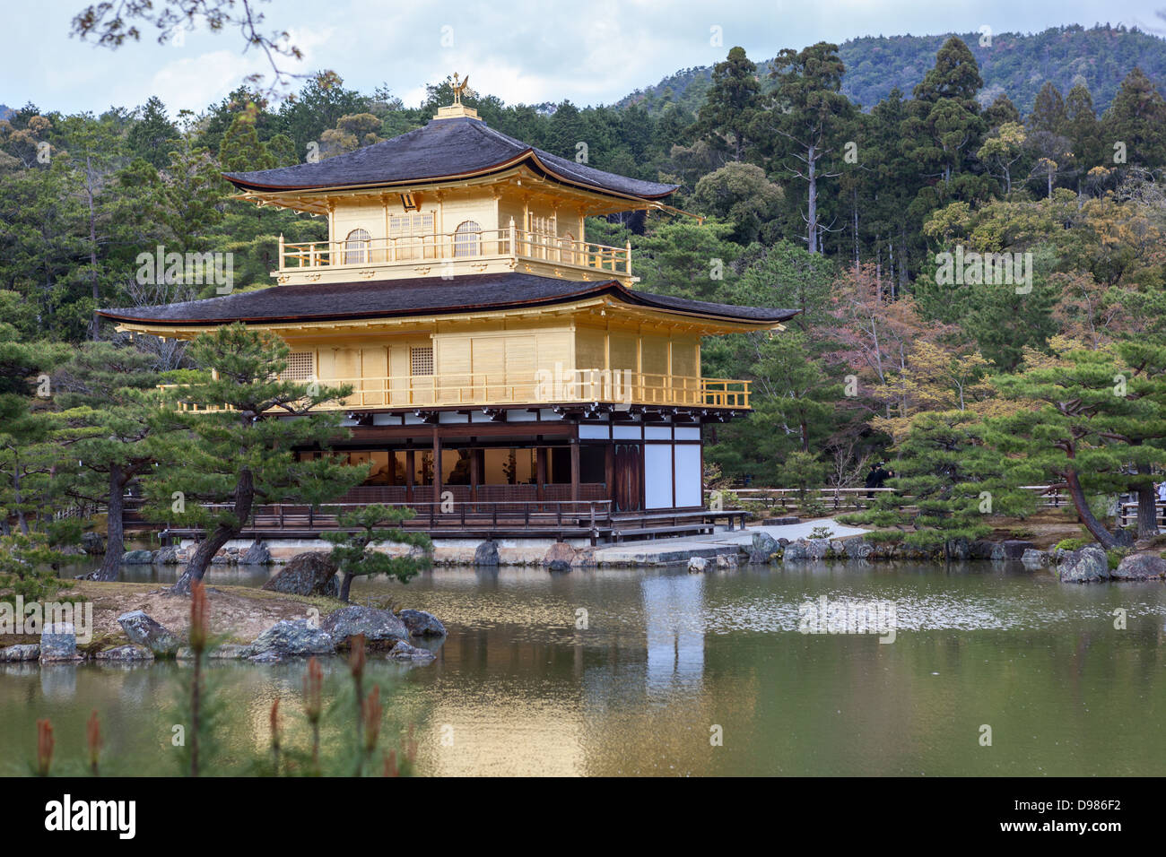 Kinkaku-ji (il Padiglione Dorato) con stagno inferiore e il giardino nella stagione estiva a Kyoto, Giappone, 2012 Foto Stock