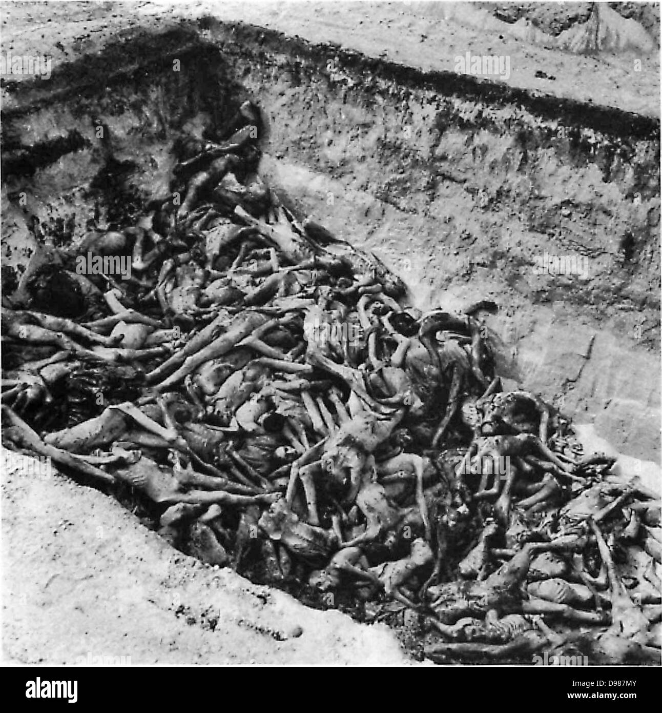 I corpi dei morti giacciono in attesa di sepoltura in una fossa comune presso il camp a Bergen-Belsen, il campo di concentramento nazista nel nord-ovest della Germania. Foto Stock