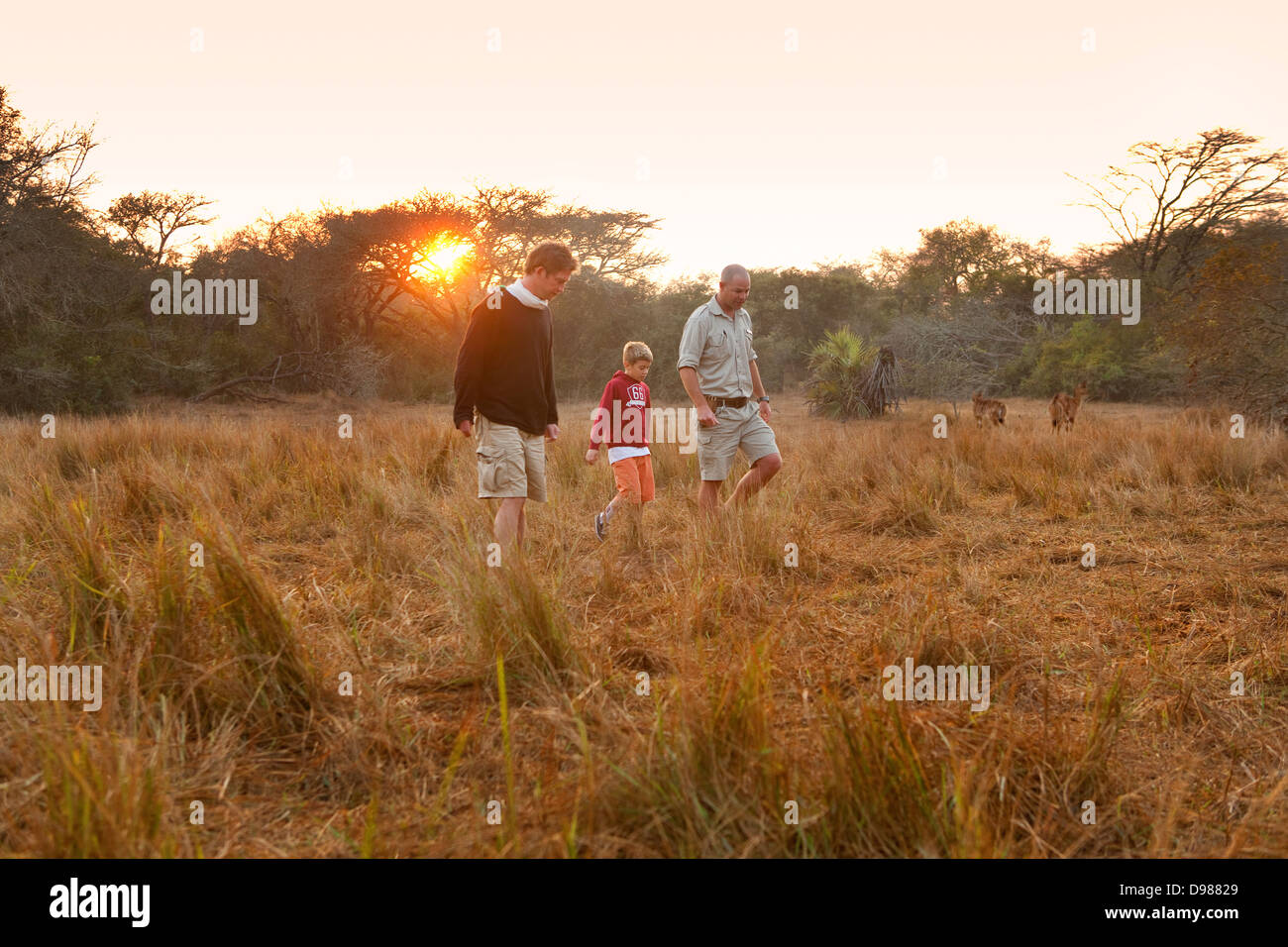 I turisti che studiano le tracce di gioco con Daryl, la loro guida in Phinda Game Reserve, Sud Africa Foto Stock