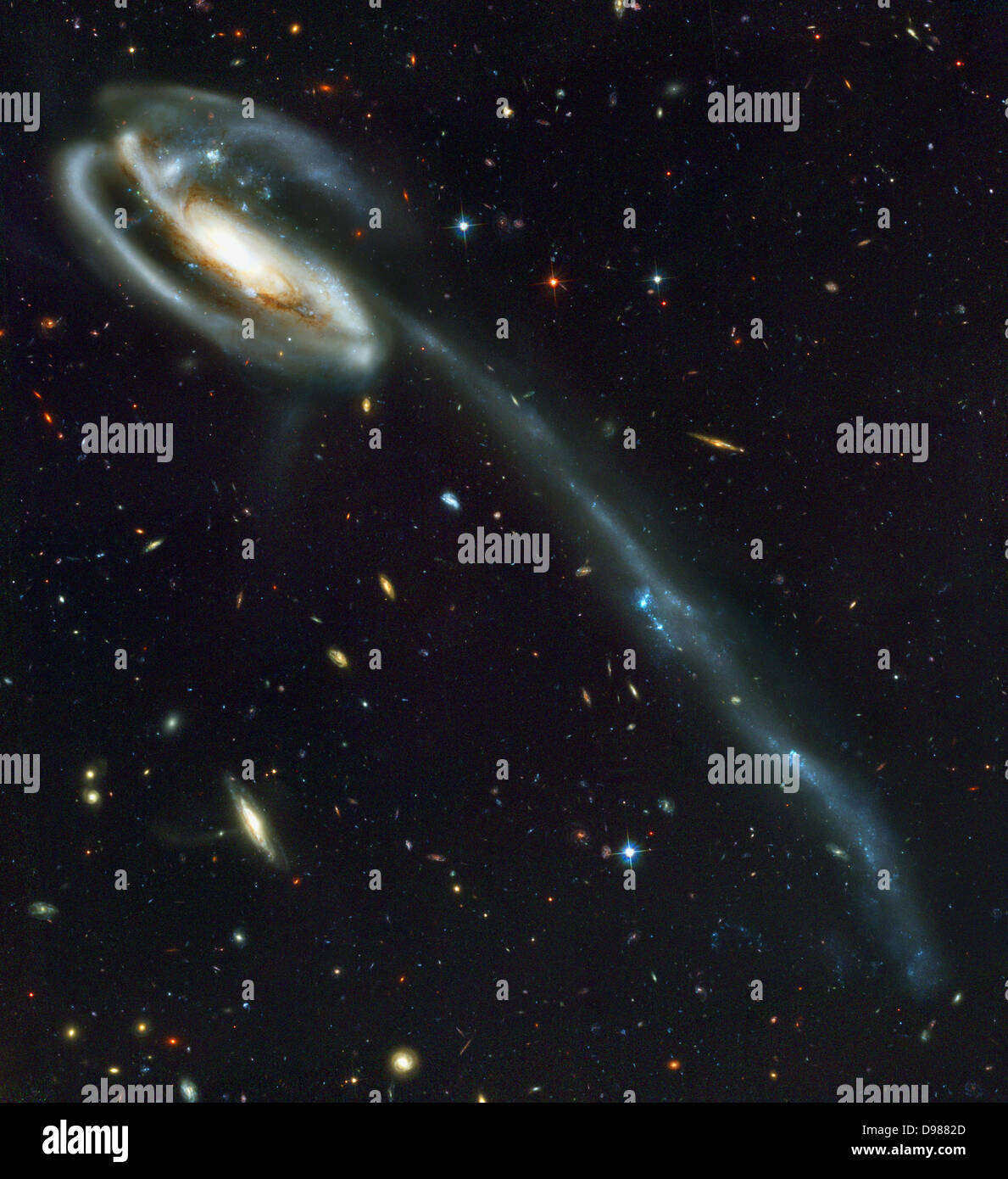 Il Tadpole Galaxy. Il piccolo, blu galassia visibile nell'angolo superiore sinistro del tadpole strappato attraverso il più grande galassia a spirale, deformarla e tirando fuori una lunga coda di stelle, gas e polvere. Giovani Blue Star Clusters, generato dalla collisione, sono evidenti in coda e i bracci di spirale. Foto Stock