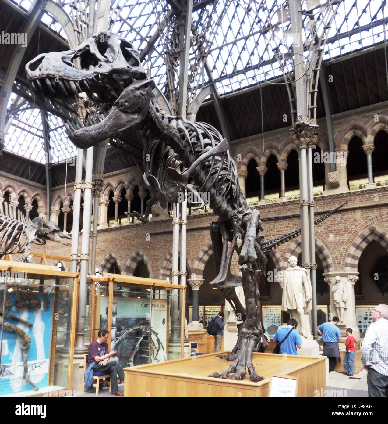 Tyrannosaurus rex. Cast di uno scheletro da 65 milioni di anni di età cretaceo superiore Hell Creek formazione di Harding paese, Dakota del Sud, Stati Uniti d'America. Foto Stock