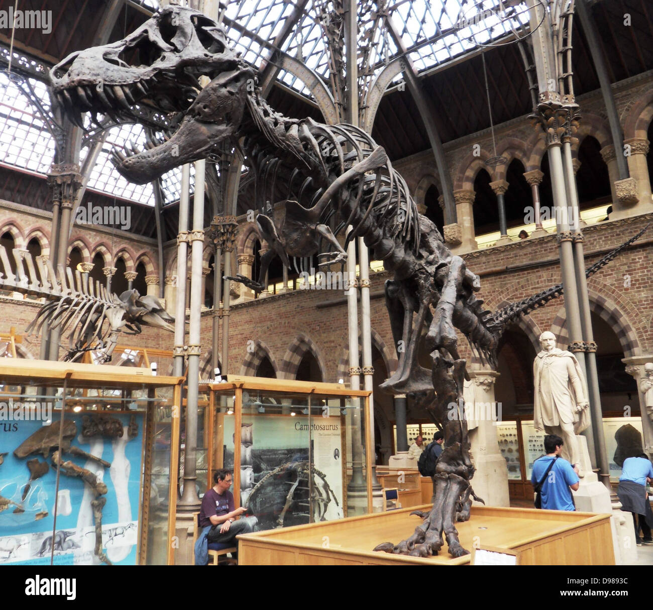 Tyrannosaurus rex. Cast di uno scheletro da 65 milioni di anni di età cretaceo superiore Hell Creek formazione di Harding paese, Dakota del Sud, Stati Uniti d'America. Foto Stock