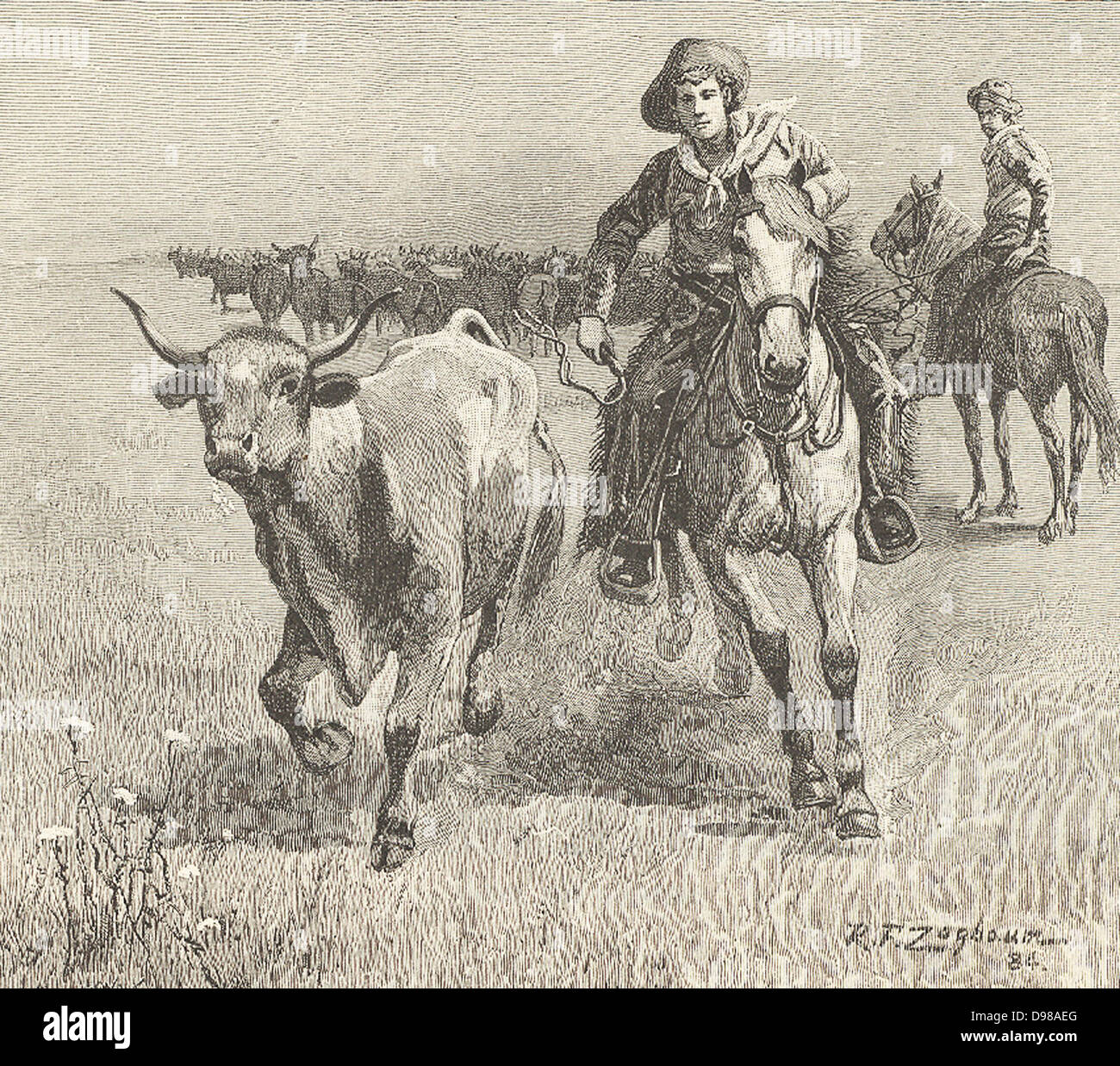 Cowboy andando dopo un manzo che ha lasciato la mandria durante una unità di bestiame: Montana. Incisione, 1885. Foto Stock